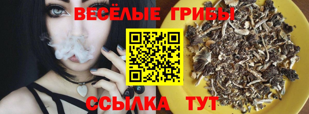 Туймазы  Галлюциногенные грибы Psilocybe  Вход с VPN  Псилоцибиновые грибы GOLDEN TEACHER 