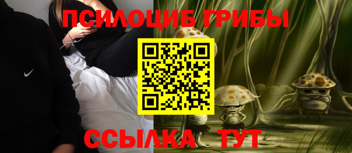 Псилоцибиновые грибы Cubensis Туймазы